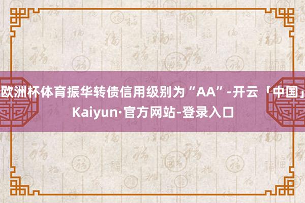 欧洲杯体育振华转债信用级别为“AA”-开云「中国」Kaiyun·官方网站-登录入口