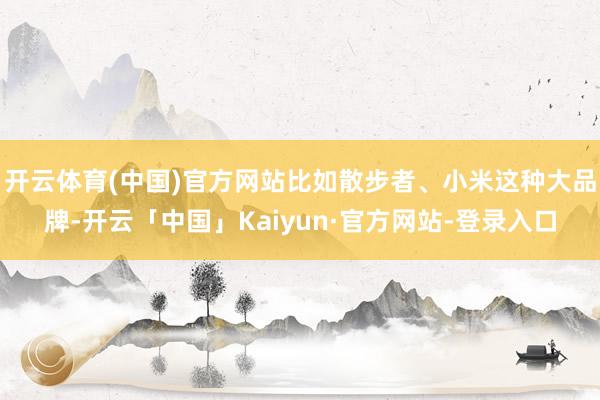 开云体育(中国)官方网站比如散步者、小米这种大品牌-开云「中国」Kaiyun·官方网站-登录入口