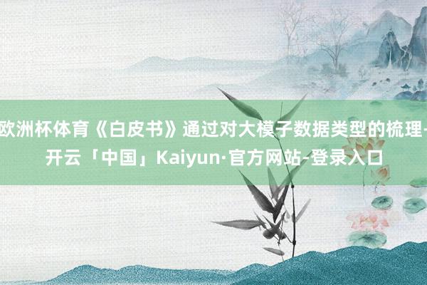 欧洲杯体育《白皮书》通过对大模子数据类型的梳理-开云「中国」Kaiyun·官方网站-登录入口