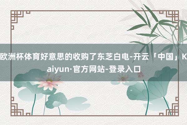 欧洲杯体育好意思的收购了东芝白电-开云「中国」Kaiyun·官方网站-登录入口